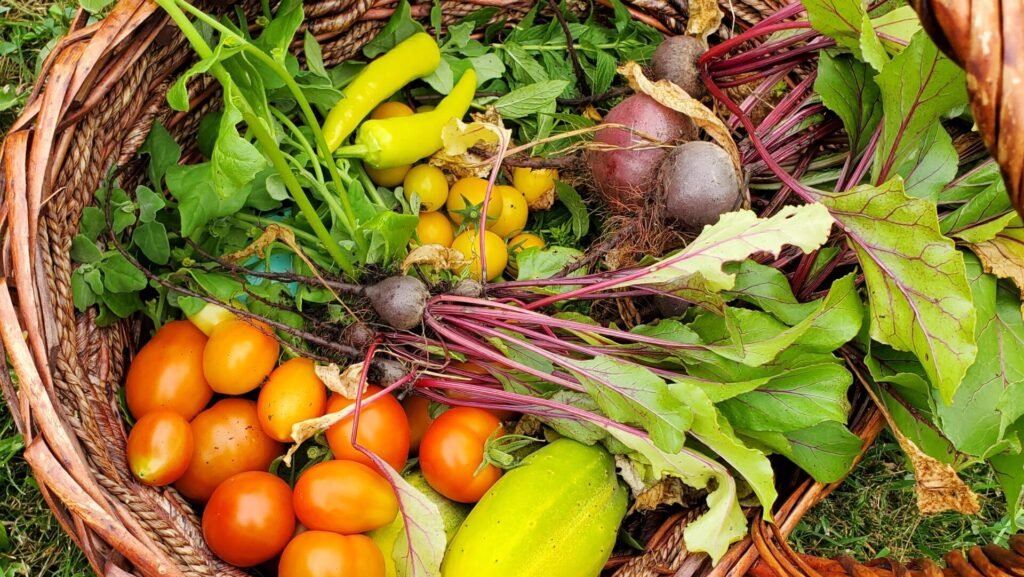 Basket of fruits and vegetables