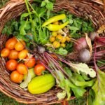 Basket full of fruits and vegetables