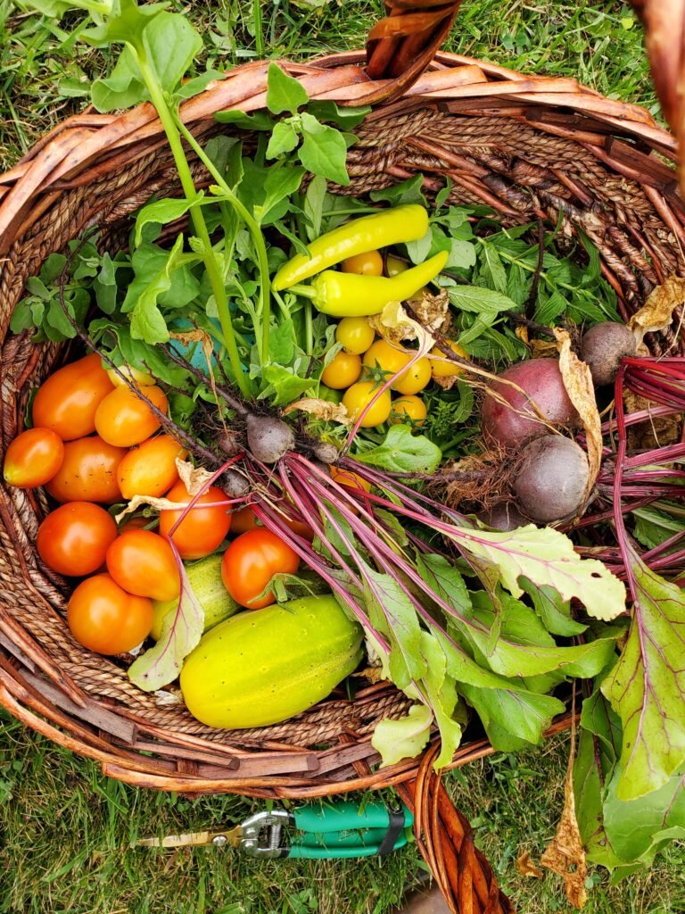 Basket full of fruits and vegetables