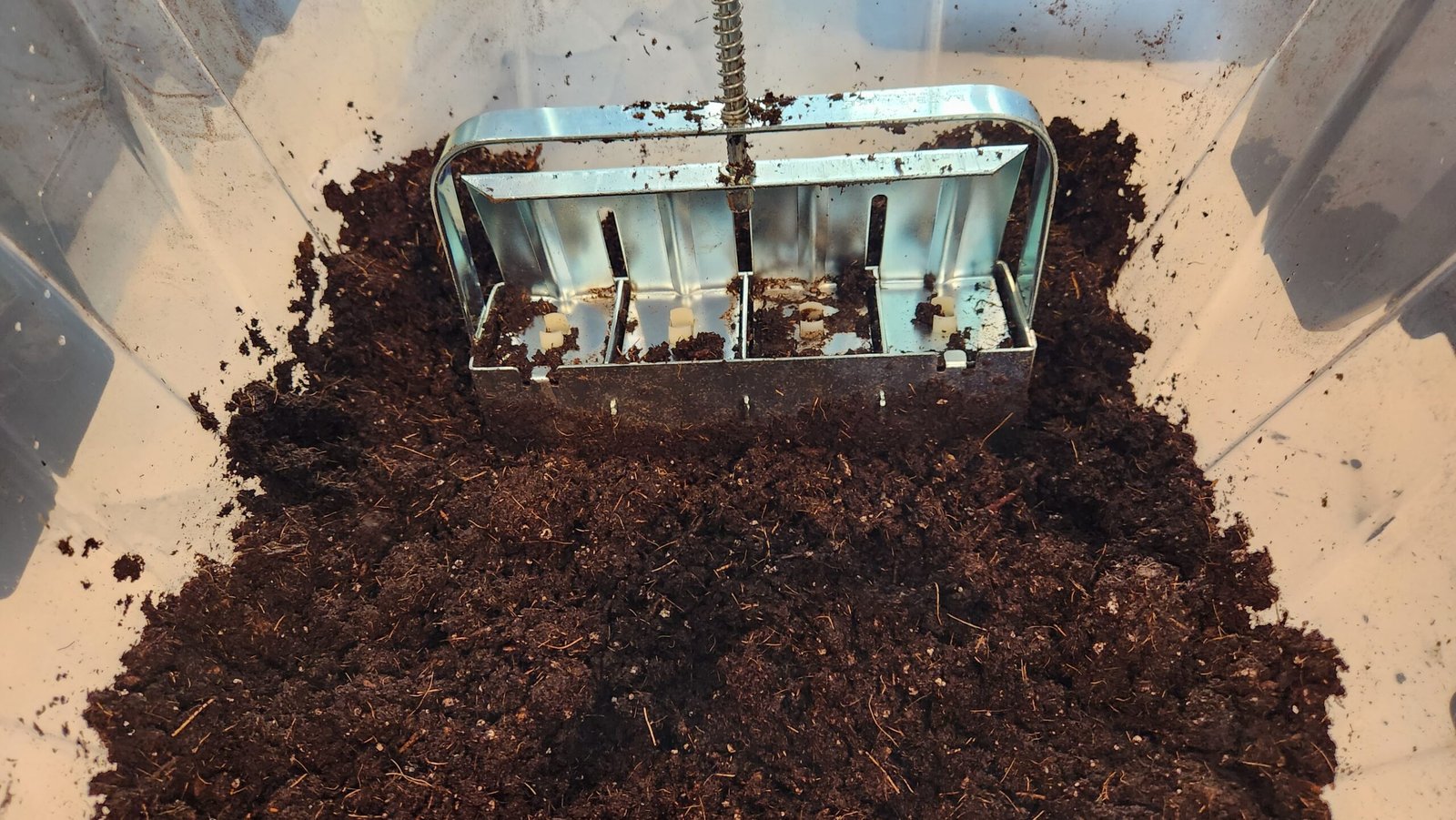 Moistened potting soil in a container with a soil blocker.