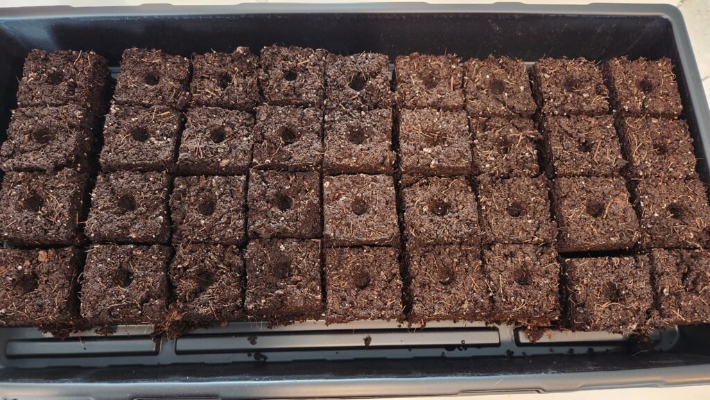 image of soil blocking for starting seeds