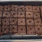 image of soil blocking for starting seeds
