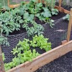 8x8 raised garden bed