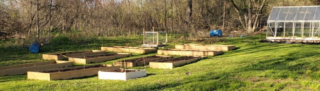 Our 9 12'x4' garden beds, plus a 4'x4' asparagus bed with our greenhouse in the background. Why we garden
