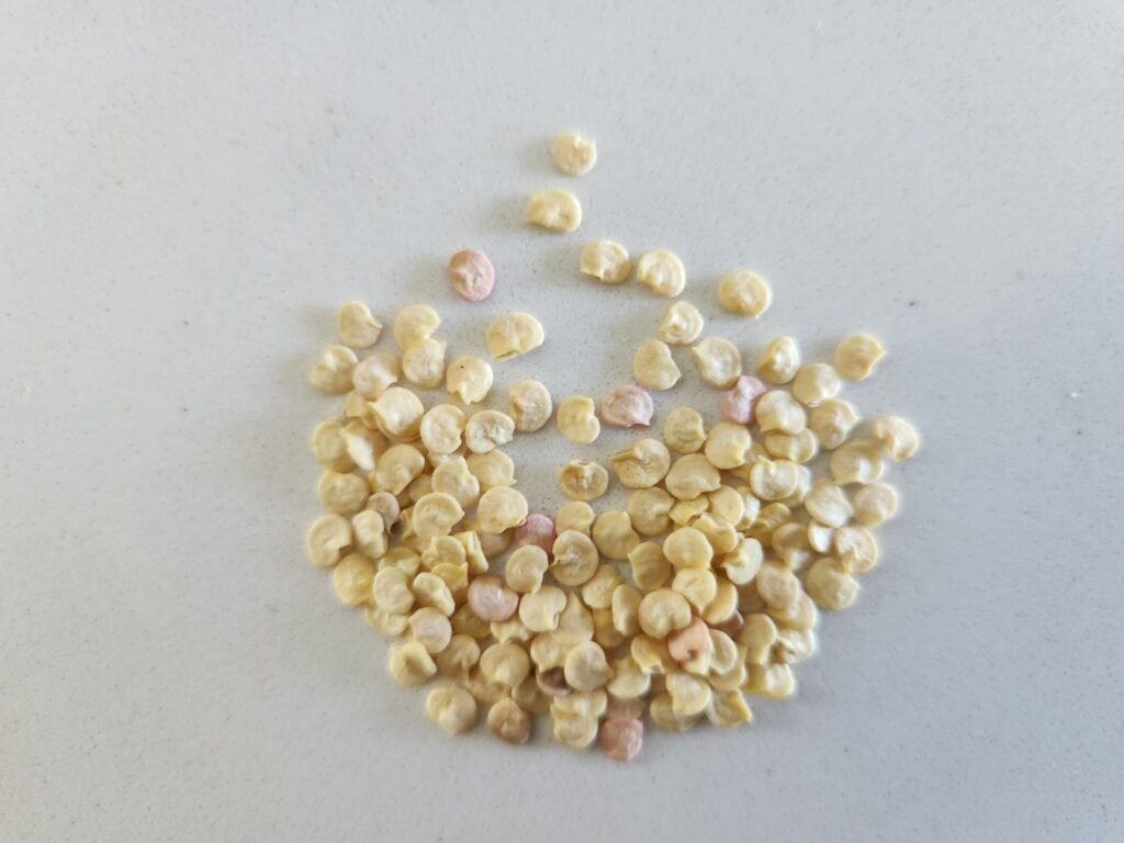 A pile of pepper seeds