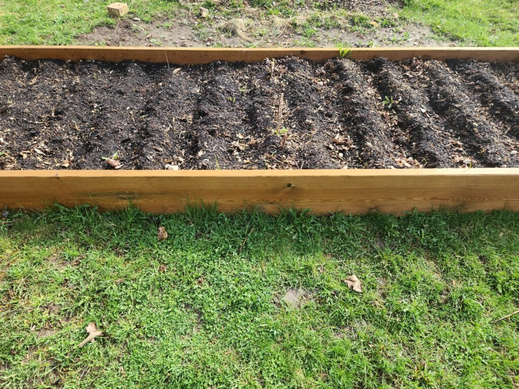 Potato bed after finished planting