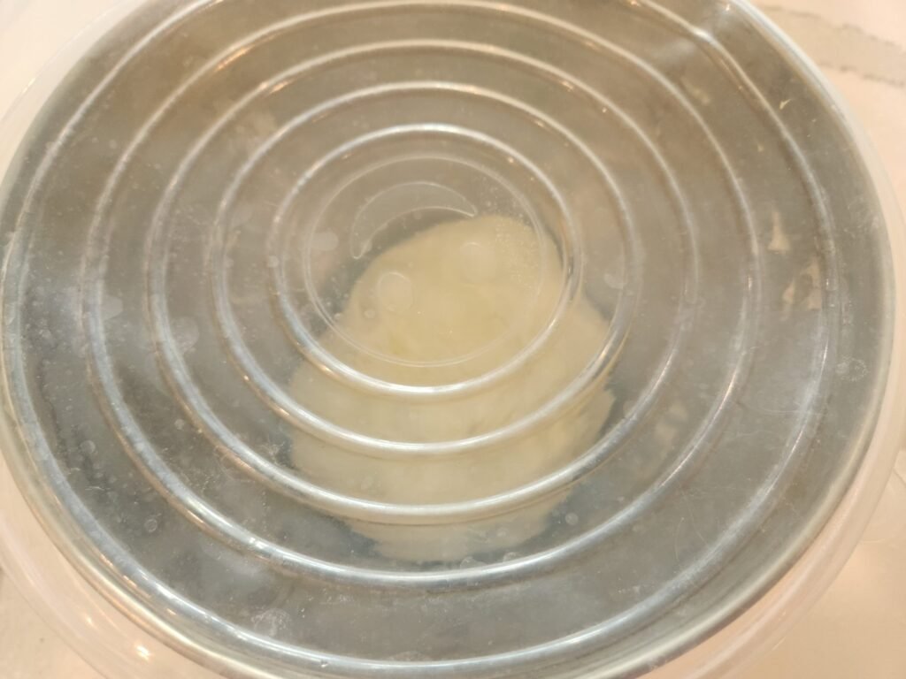 Covered bread dough in large bowl.