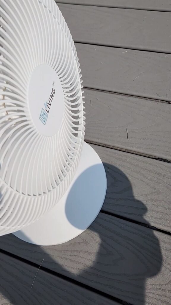 Fan for Winnowing