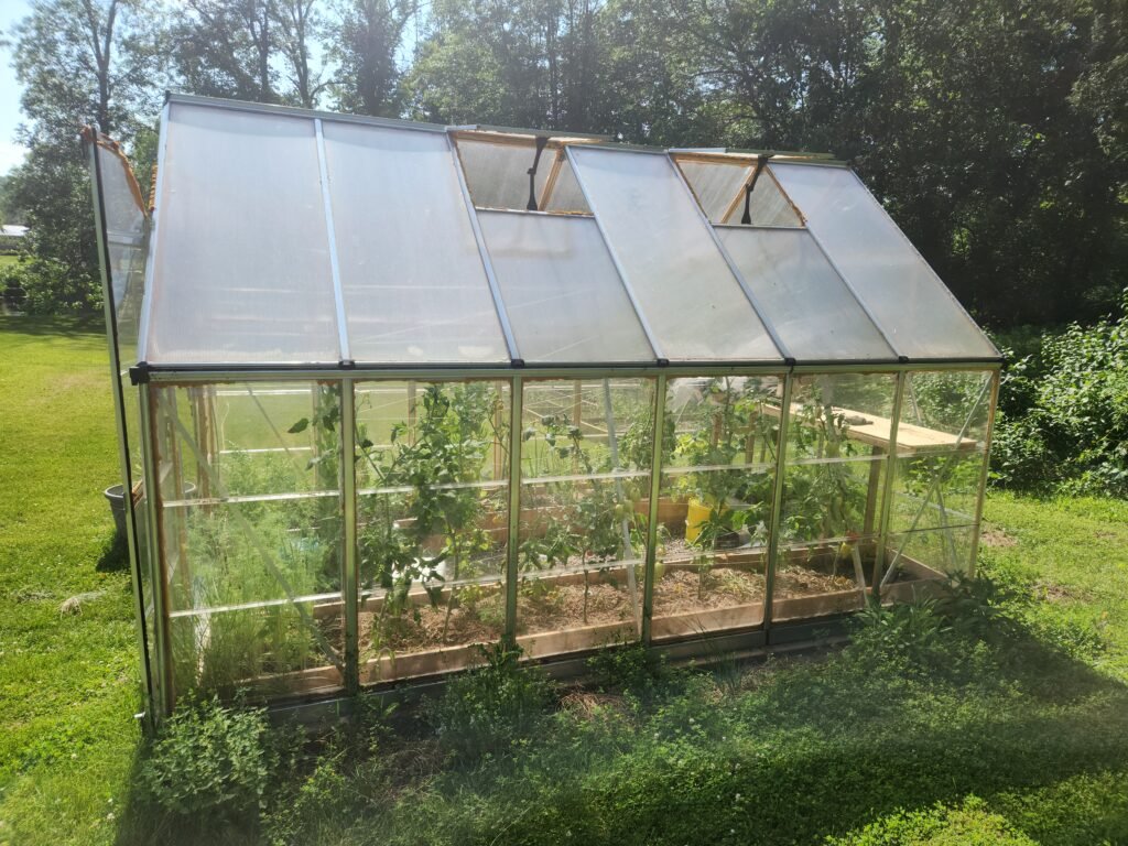 Outside view of our greenhouse. 8x12 feet in dimensions.