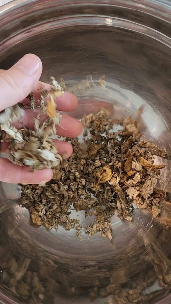 Spinach seeds with debris