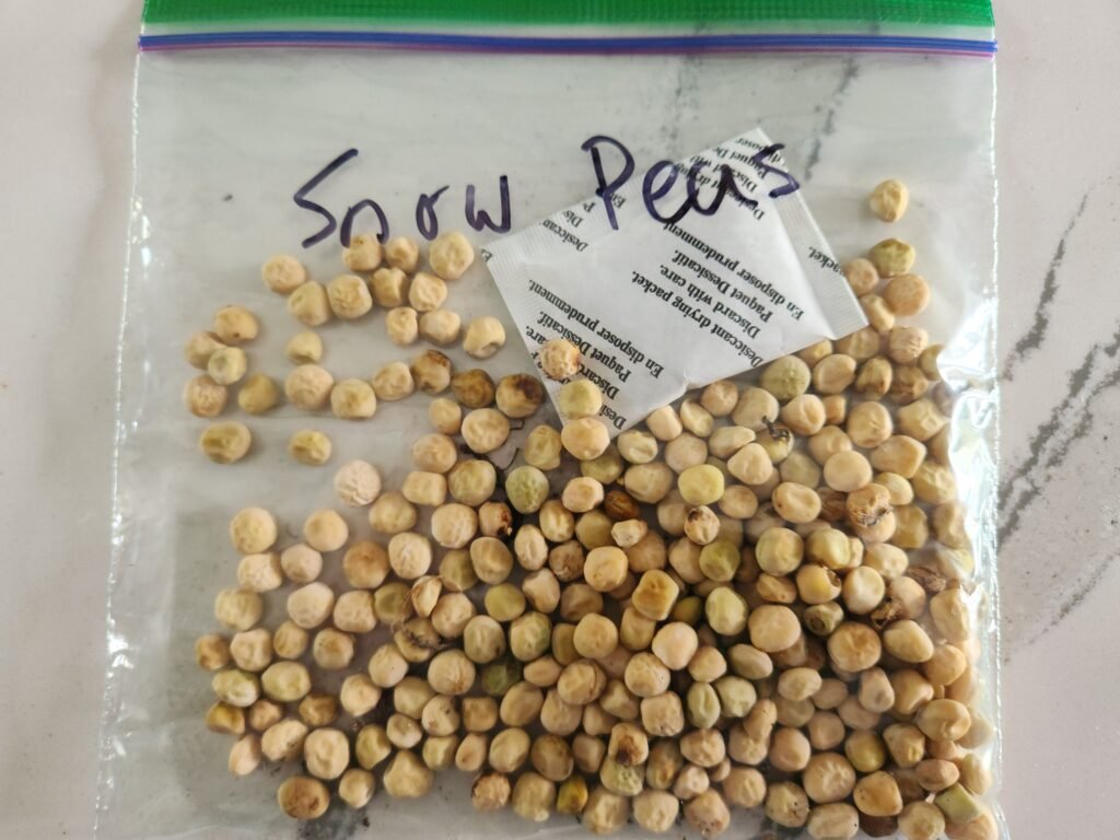 Peas stored in a resealable plastic bag.