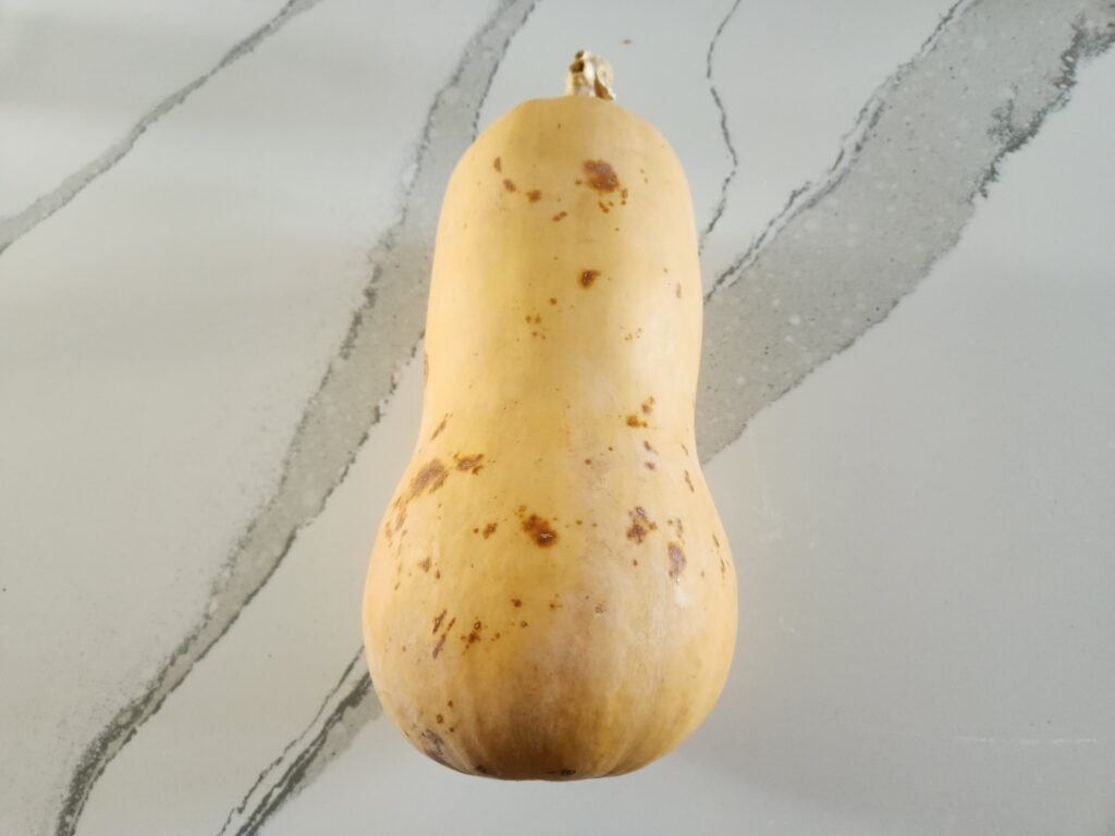 10 month old butternut squash