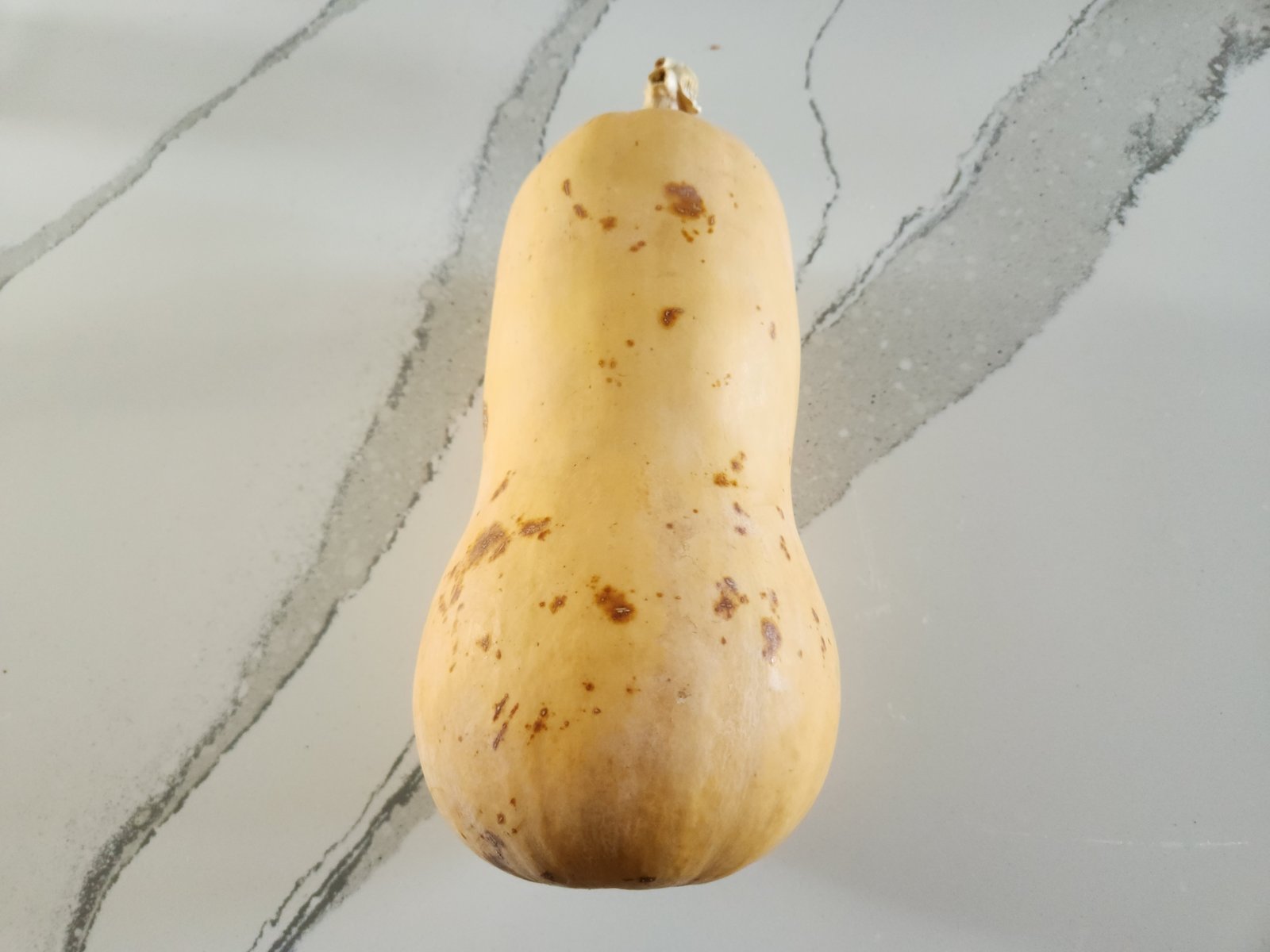 10 month old butternut squash