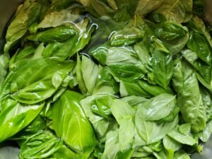 Washed Basil