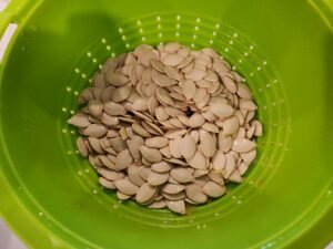Cleaning pumpkin seeds in strainer