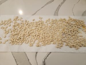 pumpkin seeds drying on paper towel