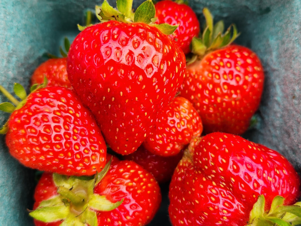 Strawberries Close Up