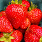 Strawberries Close Up