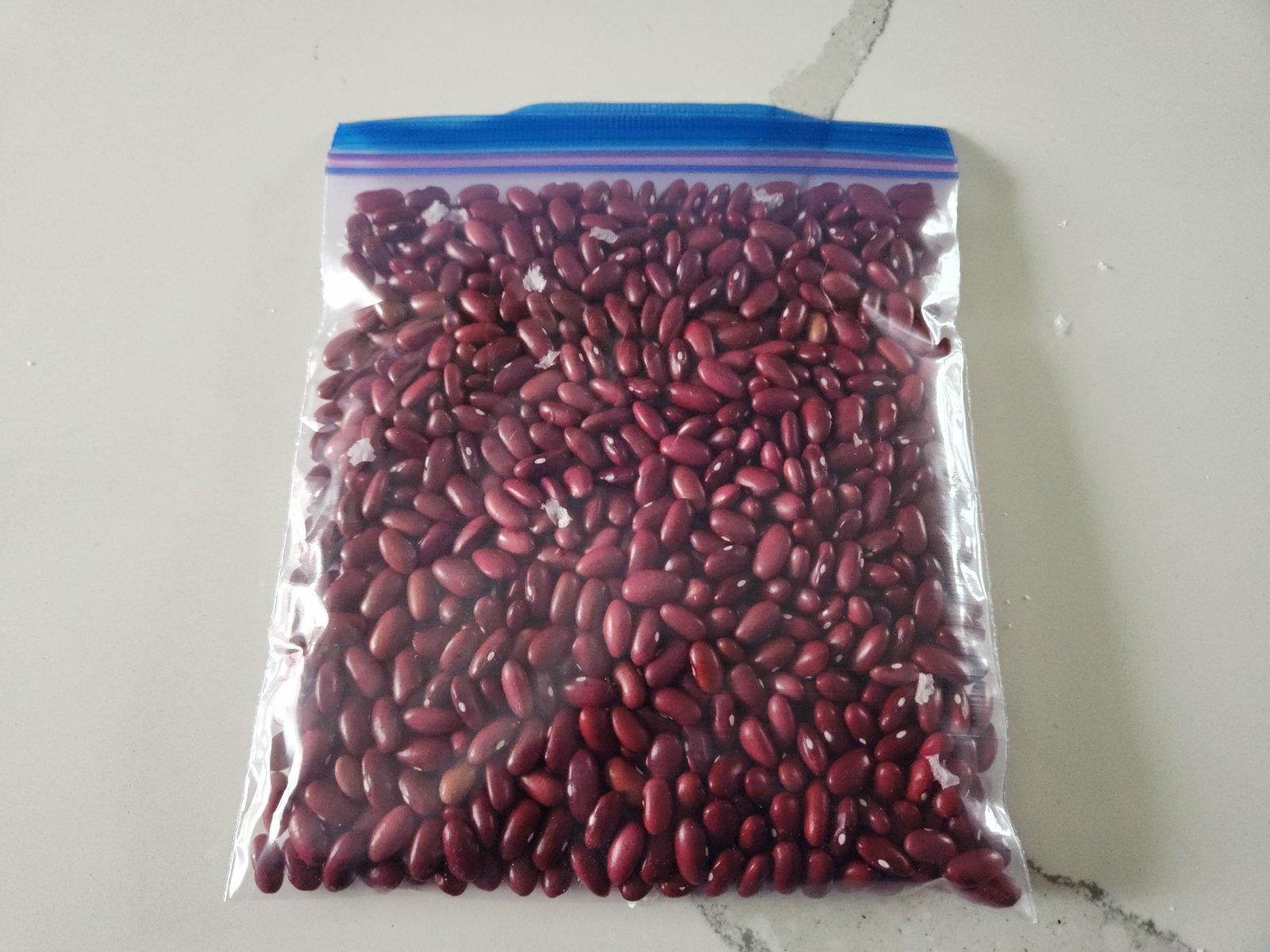 Kidney beans in a Ziploc bag for storage.
