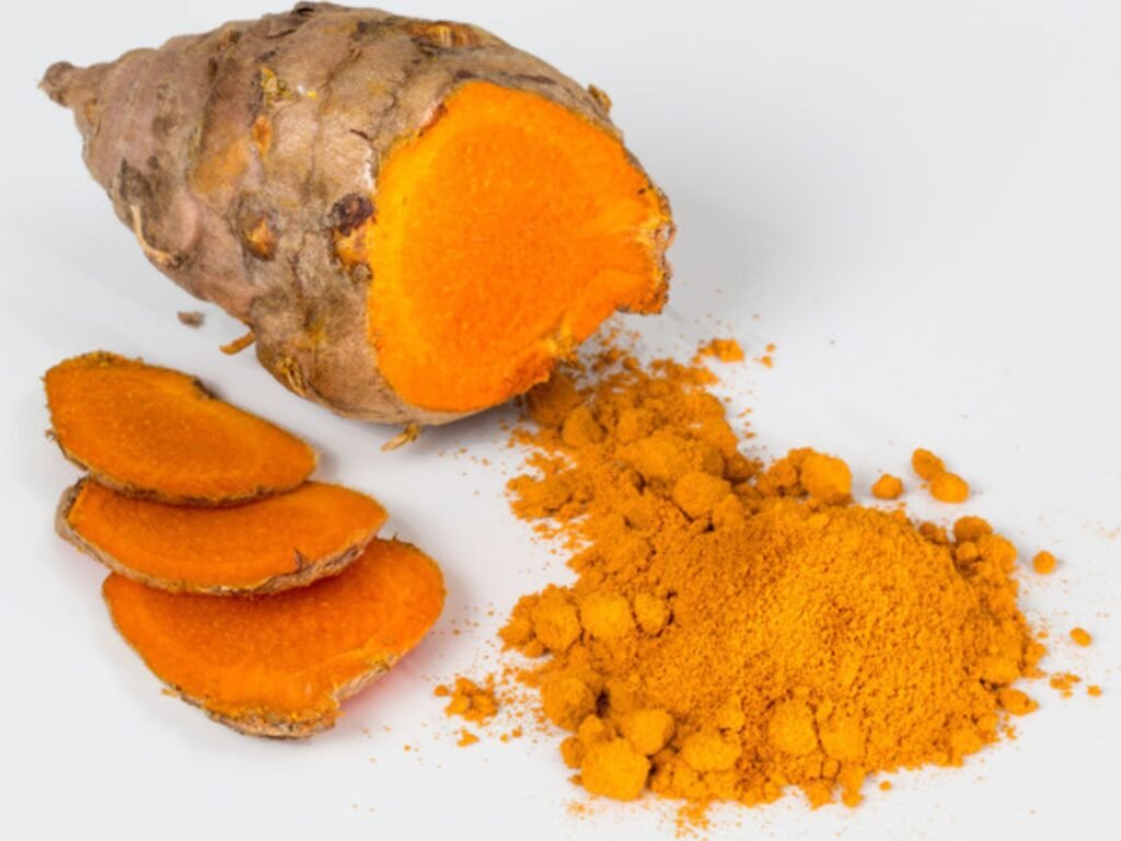 Turmeric plant root