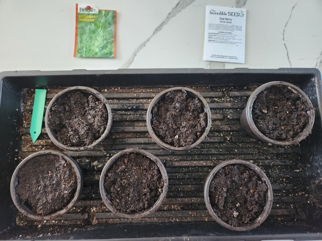 How I Know What's Planted
