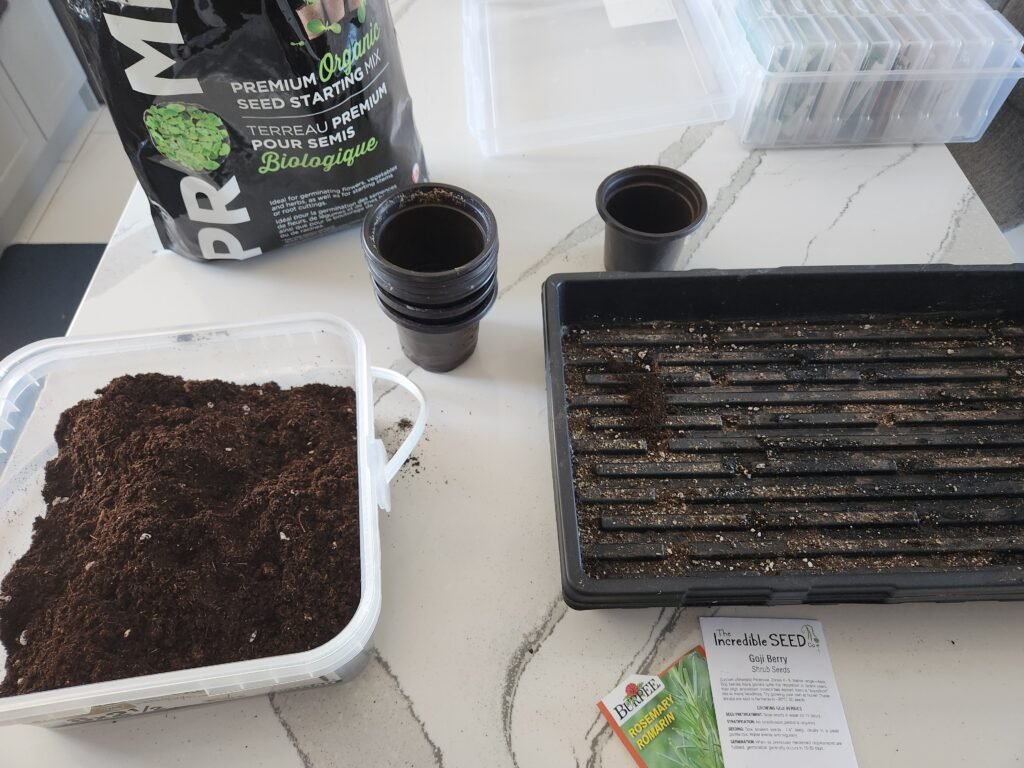 Seed Starting Setup