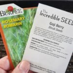 Seeds To Start