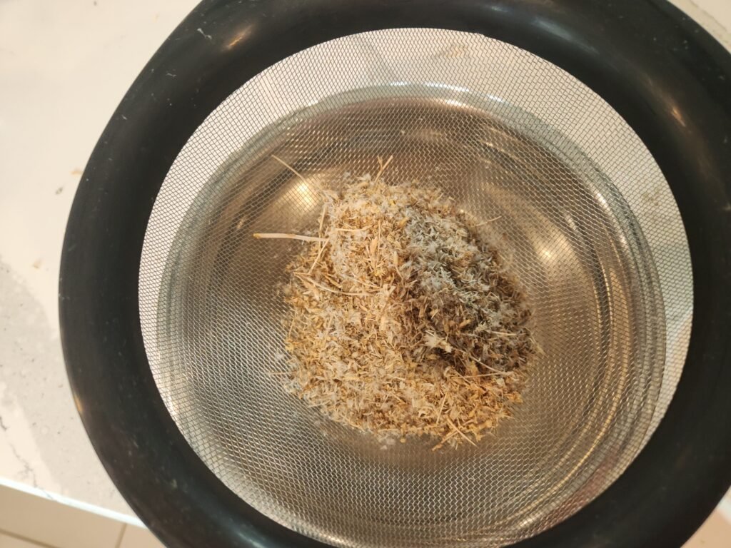 Using Colander To Clean Lettuce Seeds