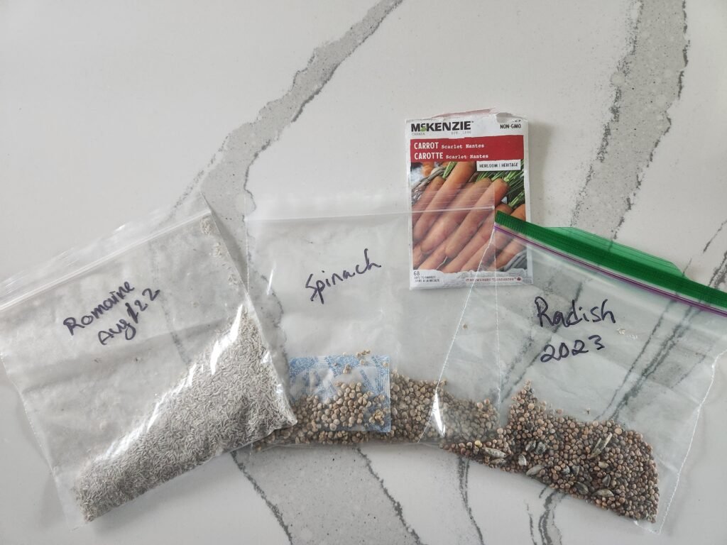 Seed to be directly sowed into the ground in our greenhouse.