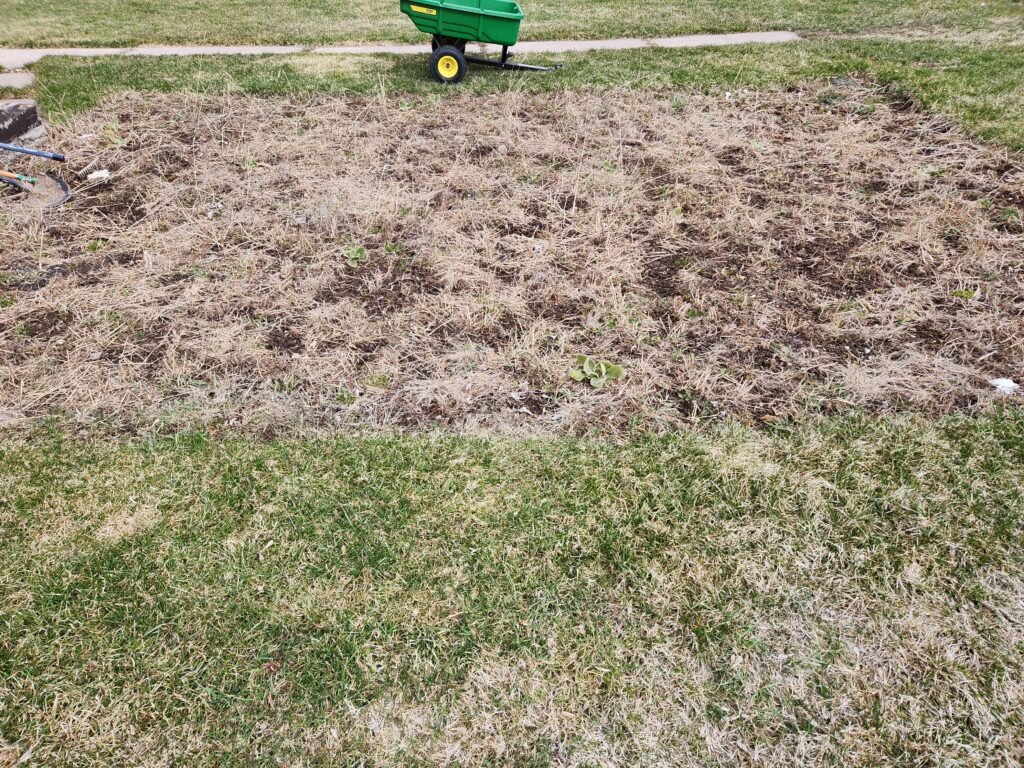 Empty wheat garden bed.