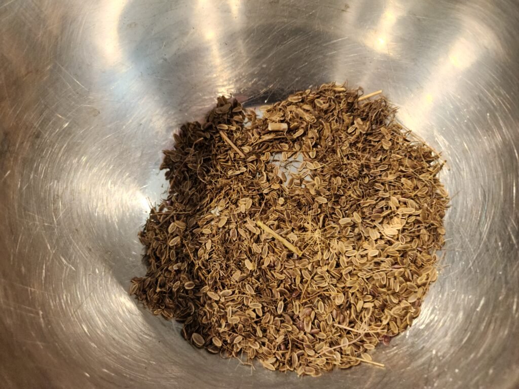 Cleaned Dill Seeds