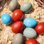 Naturally-Dyed-Red-Eggs-and-Blue-Eggs