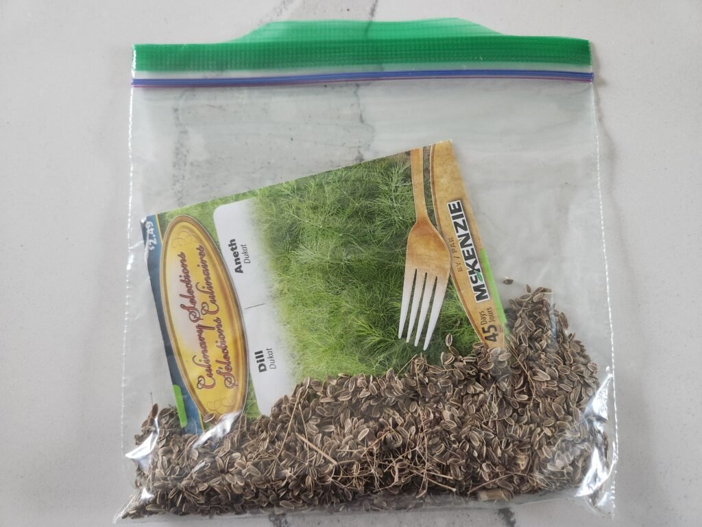 Storing Dill Seeds