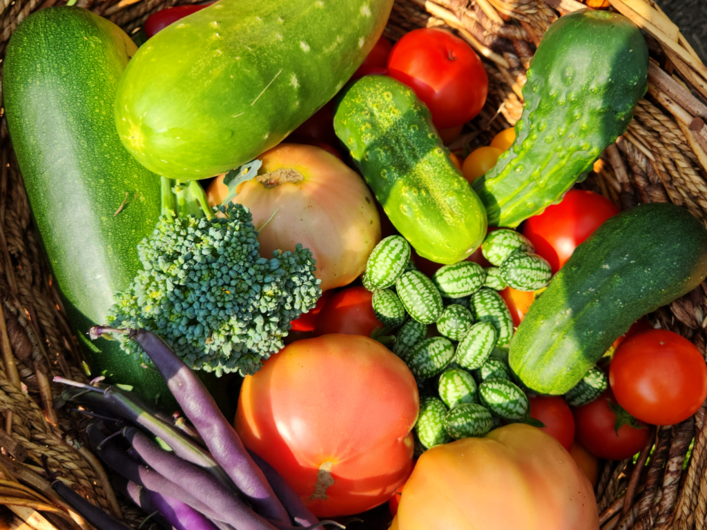 Garden basket with cucamelons