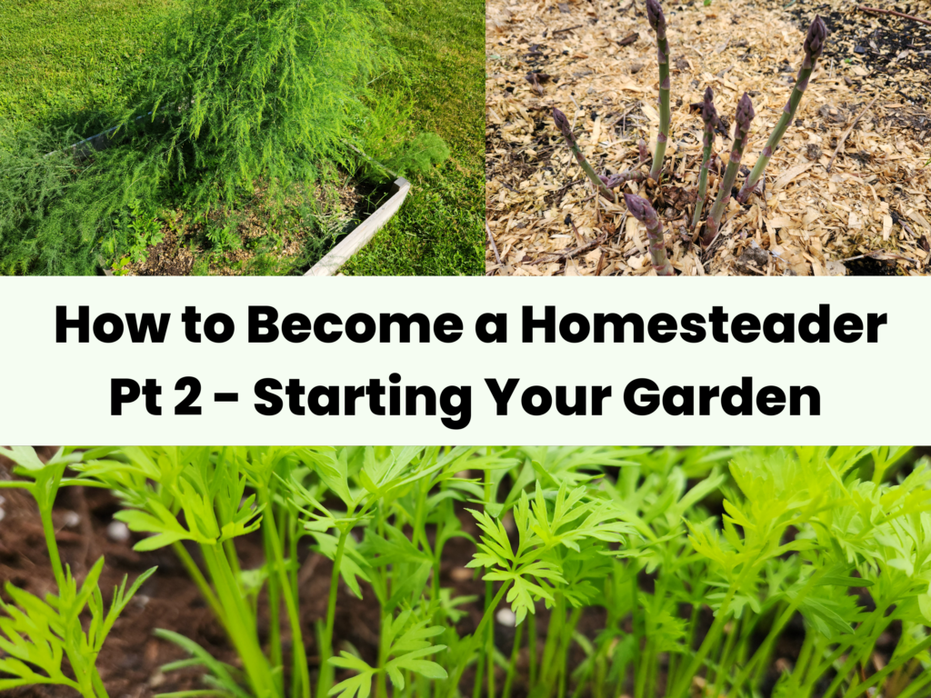 How to Become a Homesteader Pt 1 - Starting Your Garden