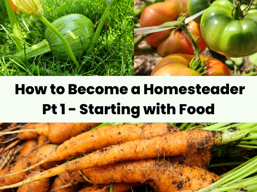 How to Become a Homesteader Pt 1 - Starting with Food