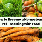 How to Become a Homesteader Pt 1 - Starting with Food
