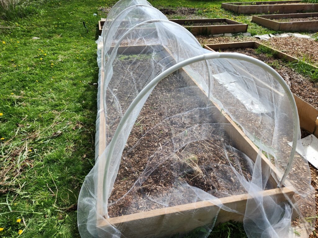 PVC pipe hoop house
