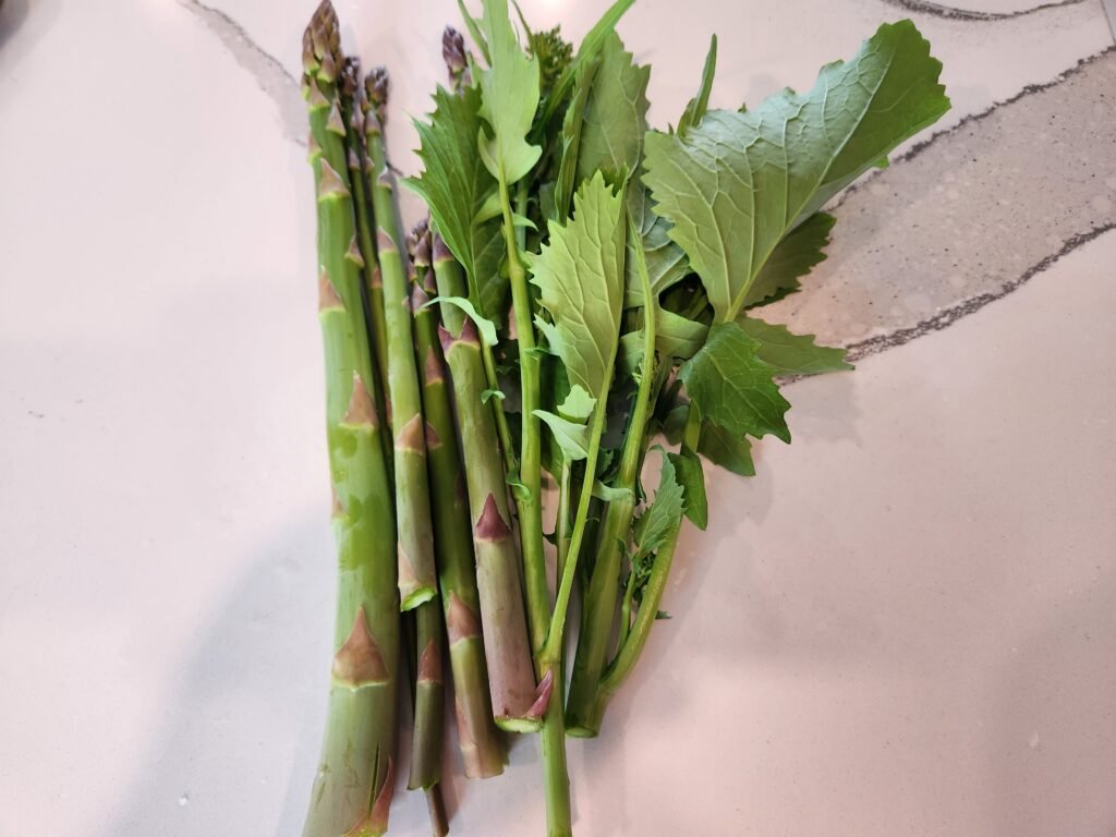 Rapini and Asparagus