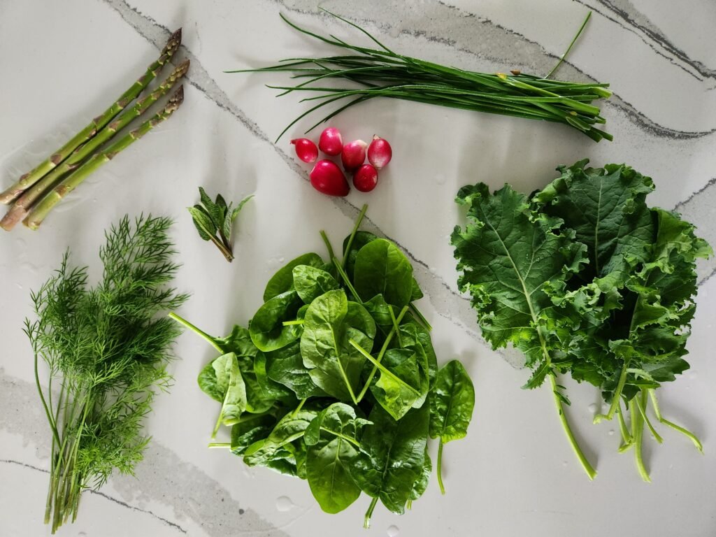 Garden harvest of asparagus, radishes, sage, chives, dill, spinach, and kale.