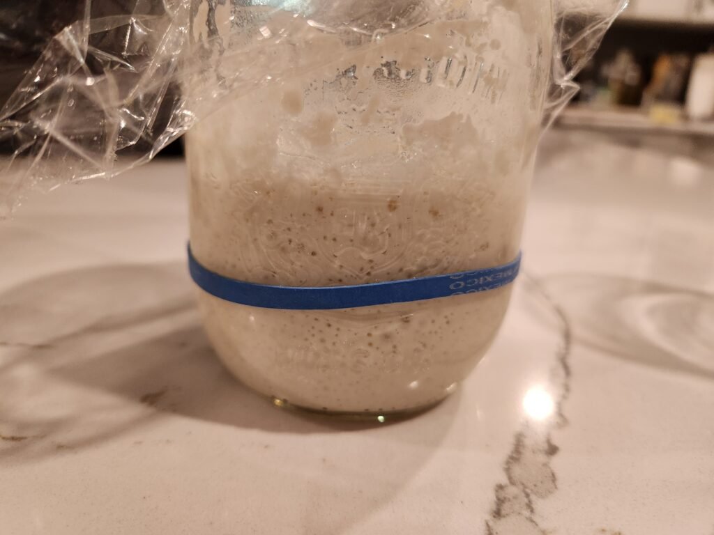 This is an example of a sourdough starter in a jar. The bubbles above the rubber band is the 'active' part of the starter. 