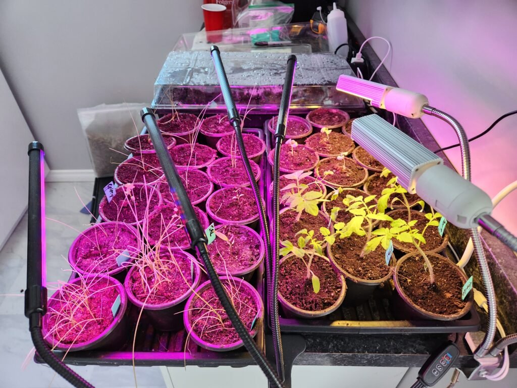 Grow Lights to Start Seedlings