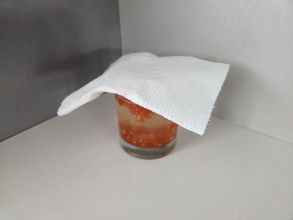 Covering container of tomato seeds to prevent bugs and smell.