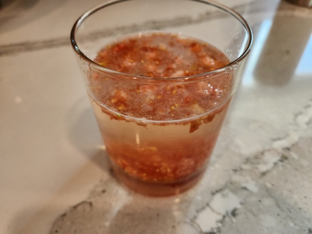 Tomato seeds added to a glass of water.