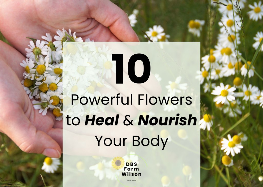 10 powerful flowers to heal and nourish your body dbsfarmwilson cover