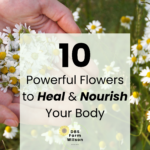10 powerful flowers to heal and nourish your body dbsfarmwilson cover