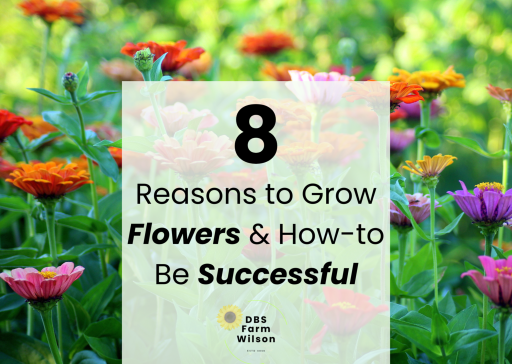 8 Reasons to Grow Flowers Cover