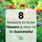 8 Reasons to Grow Flowers Cover