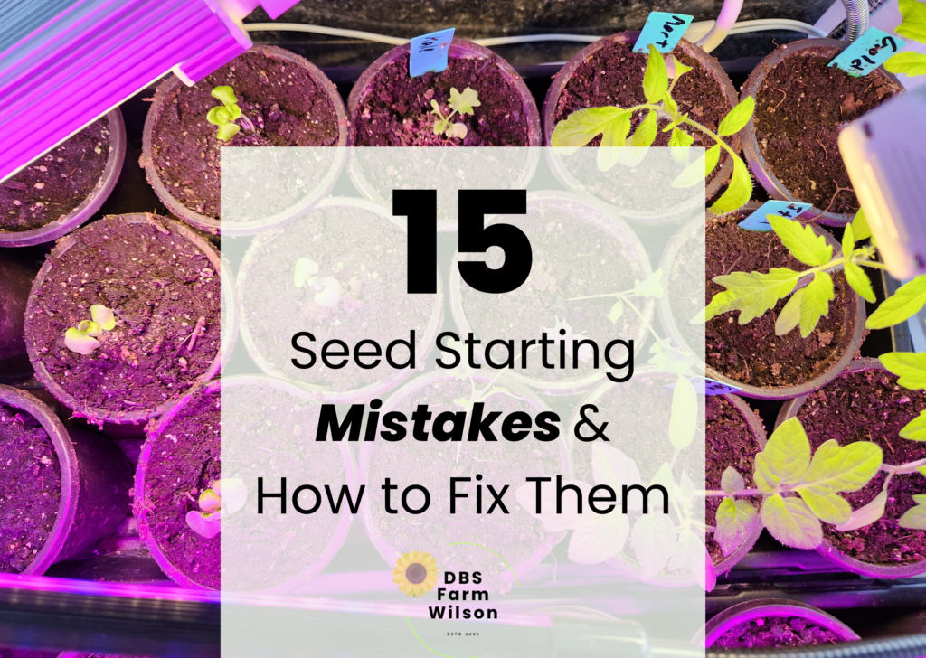 15 Seed Starting Mistakes and How to Fix them Cover Image