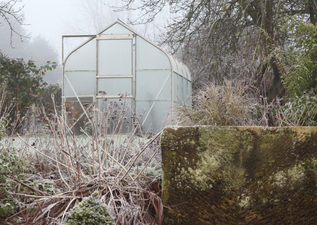 Winter Sowing Jumpstart Your Garden Cover Image